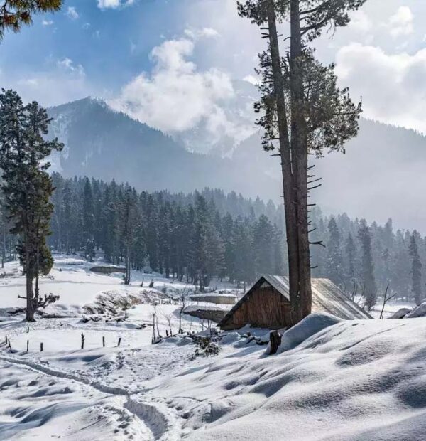 Magnificent Kashmir 6D/5N Package