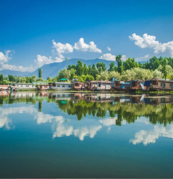 Glorious Kashmir 5D/4N Package